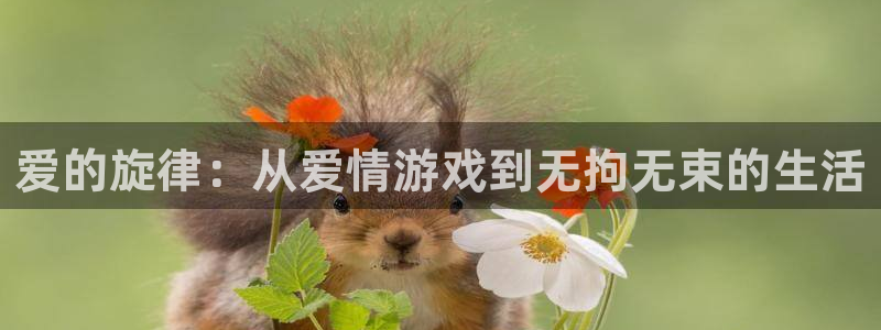 NG娱乐文化传媒