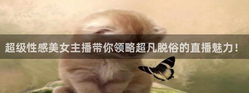 熊猫直播app下载