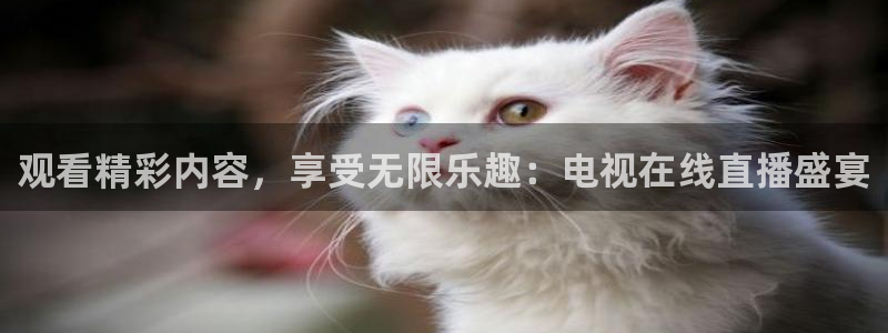 直播 熊猫：观看精彩内容，享受无限乐趣：电视在线直播盛宴