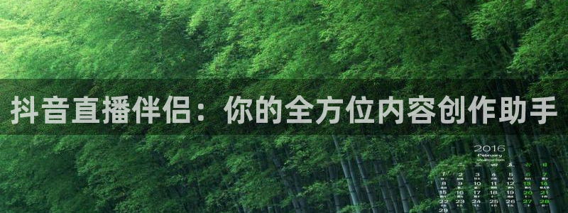 动感熊猫体育公园：抖音直播伴侣：你的全方位内容创作助手
